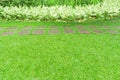 The walkway pattern of square Laterite stepping stone on fresh green grass yard, smooth carpet lawn and shrubs in the garden