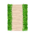 Walkway or Pavement of Flagstone as Outdoor Floor Covering and Landscape Design Vector Illustration