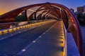 Walkway On The Peace Bridge At Night