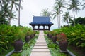 Walkway on pond full of water lilies in tropical garden. Royalty Free Stock Photo