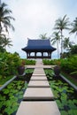 Walkway on pond full of water lilies in tropical garden. Royalty Free Stock Photo