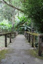 Walkway in Pong Duet Hot Springs