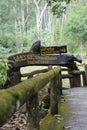 Walkway in Pong Duet Hot Springs