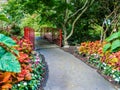 Walkway in the public Beacon Hill Park, Victoria BC, Canada Royalty Free Stock Photo