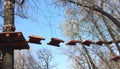 Walkway rain forest Royalty Free Stock Photo