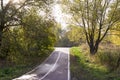 Road through the autumn park. seasonal, background