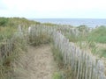 Walkway through the sand dunes to the beach Royalty Free Stock Photo