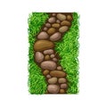 Walkway of Smooth Cobblestones Rested on Green Lawn Grass as Landscape Design Vector Illustration