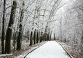 Walkway in snowy city park Royalty Free Stock Photo