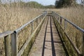 Walkway at the Somerset wetlands wildlife reserve Royalty Free Stock Photo