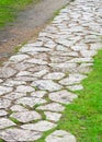 Walkway stone pavement in a landscaped garden with green summer grass.