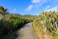 Walkway in summer of Punakaki Pancake Rocks. Royalty Free Stock Photo