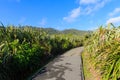 Walkway in summer of Punakaki Pancake Rocks. Royalty Free Stock Photo