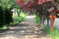 Walkway to Chureito Pagoda, Arakura Sengen Shrine Royalty Free Stock Photo