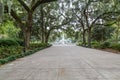 Walkway To Forsyth Park Fountain