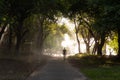 Walkway to Kuta Beach in Bali. Light through trees