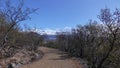 Walkway To Mountains Viewpoint And Valley With Young Leaves Royalty Free Stock Photo