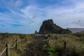 Walkway to Piha Beach