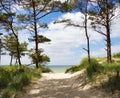 Walkway to the sea