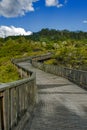 Walkway to Whakarewarewa Geyser at Te Puia thermal park in geothermal valley of Rotorua, New Zealand Royalty Free Stock Photo