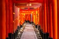 walkway of Torii gates in Fushimi Inari Taisha Shrine with sun beams, tourist famous place in Japan, Kyoto