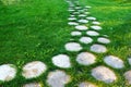 Walkway of tree stumps on green grass in park, selective focus, copy space Royalty Free Stock Photo