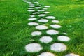 Walkway from tree stumps on green grass in summer sunny day Royalty Free Stock Photo