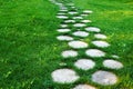 Walkway from tree stumps on green grass in summer sunny day Royalty Free Stock Photo