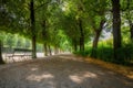 Walkway,treeline Royalty Free Stock Photo