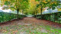 Walkway between trees and bushes with two benches