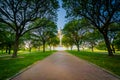 Walkway and trees in front of the Rhode Island State House, in P Royalty Free Stock Photo