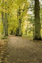 Walkway among the trees in an old park in Russia in the fall.