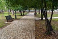 Walkway among the trees in the park and a bench after the rain. Royalty Free Stock Photo