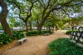 Walkway and trees at Washington Square Park, in Marigny, New Orleans, Louisiana