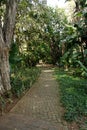 Walkway through a tropical garden for peace and quiet Royalty Free Stock Photo