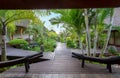 Walkway in tropical garden Royalty Free Stock Photo