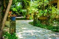 Walkway with two sides of tree Royalty Free Stock Photo