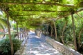 Walkway Under Arbor Royalty Free Stock Photo