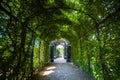 Walkway under a green natural tunnel