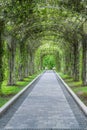 Walkway under pergola Royalty Free Stock Photo