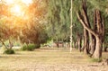 Walkway under pine trees beside the sea Royalty Free Stock Photo