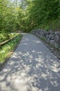 Walkway under trees foliage shade in the park Royalty Free Stock Photo