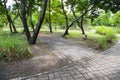 Walkway view, Botanical garden