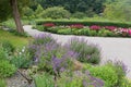 Walkway at Westpark munich, peony flower bed and blooming salvia