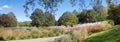 Walkway in the Westpark Munich, trough plantation of pampas grass, autumnal sunny landscape upper bavaria