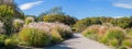 Walkway in the Westpark Munich, trough plantation of pampas grass, autumnal sunny landscape