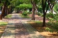 The walkway which made from some brick in a park