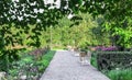 Walkway with white benches in a blooming summer garden