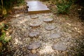 walkway winding in garden Royalty Free Stock Photo