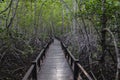 The walkway at the wood bridge in the forest